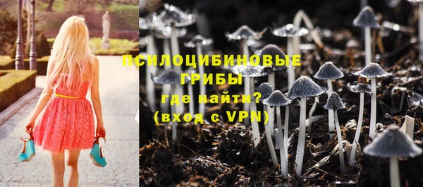 каннабис Аркадак