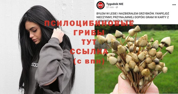 каннабис Аркадак